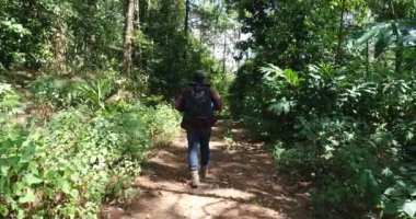 Sırt çantası ile tropikal ormanda yürüyüş genç adam. Orman yolu yürüyüş sırt çantası ile erkek fiyatı.