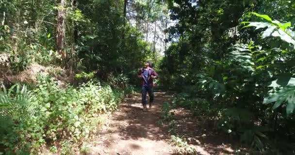 若者のバックパックと熱帯のジャングルでのハイキング 林道を歩いてのリュックサックで男性ハイカー — ストック動画