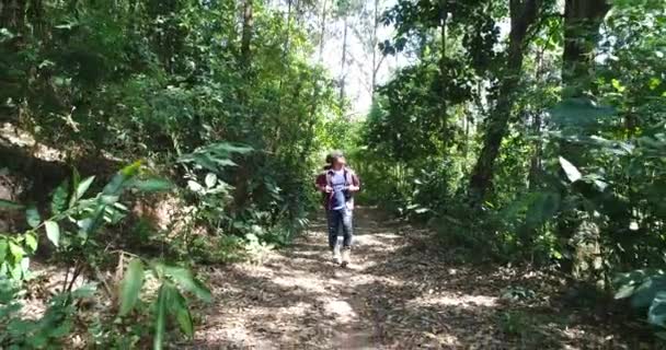 Fiatalember Túrázás Trópusi Dzsungelben Hátizsák Férfi Túrázó Gyalogos Erdei Ösvényen — Stock videók