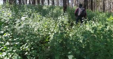 Sırt çantası ile tropikal ormanda yürüyüş genç adam. Orman yolu yürüyüş sırt çantası ile erkek fiyatı.
