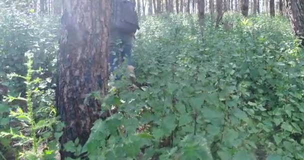 Jonge Man Wandelen Tropische Jungle Met Rugzak Mannelijke Wandelaar Met — Stockvideo