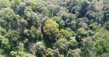 Tayland dağ üzerinde uçan havadan görünümü