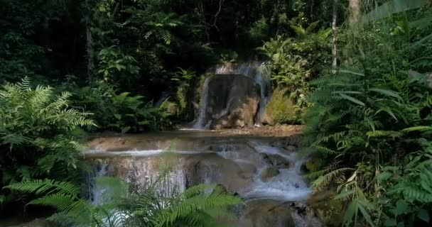 Wodospady Górach Obfite Lasy Strumień Przepływający Lesie — Wideo stockowe