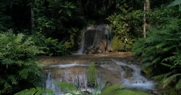 Wasserfälle Den Bergen Üppigen Wäldern Der Bach Der Wald Fließt — Stockvideo
