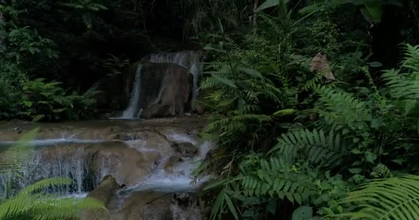 Vízesés Hegyekben Gazdag Erdők Patak Folyik Erdőben — Stock videók