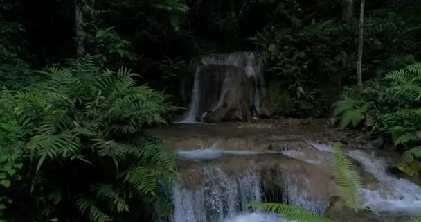 풍부한 산에는 숲에서 흐르는 스트림 — 비디오