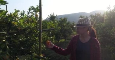 Portakal bahçesinde portakal ağacı bak çiftçi kadın