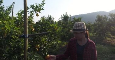 Portakal bahçesinde portakal ağacı bak çiftçi kadın