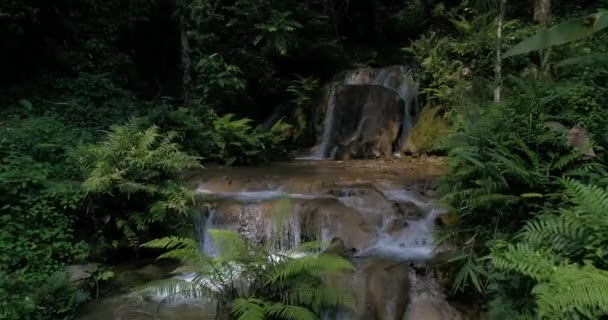 Vesiputouksia Vuorilla Runsaissa Metsissä Metsässä Virtaava Virta — kuvapankkivideo
