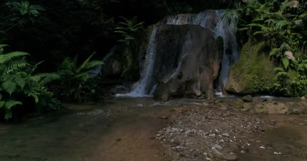 Cachoeiras Nas Montanhas Florestas Abundantes Fluxo Que Flui Floresta — Vídeo de Stock