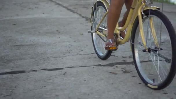Mulher Andando Bicicleta Parque — Vídeo de Stock