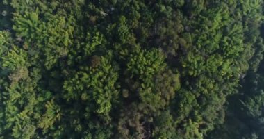 Hızlı tekneler denize yakın plaj şehir üzerinde havadan görünümü