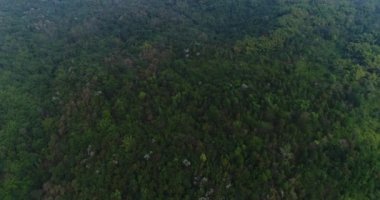 Hızlı tekneler denize yakın plaj şehir üzerinde havadan görünümü