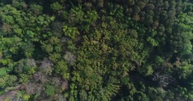 Tayland dağ üzerinde uçan havadan görünümü