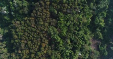 Tayland dağ üzerinde uçan havadan görünümü