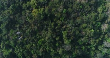 Tayland dağ üzerinde uçan havadan görünümü