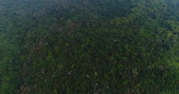 Vue aérienne des bateaux de vitesse sur la mer près de la plage ville 