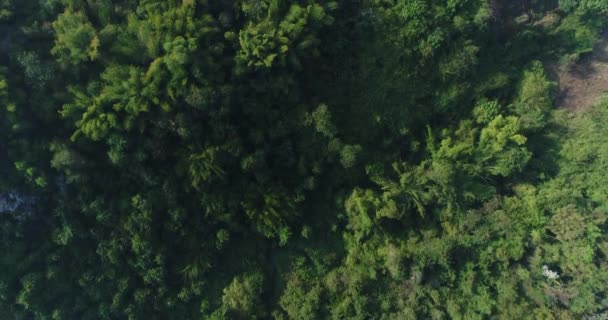 Luchtfoto Vliegen Berg Thailand — Stockvideo