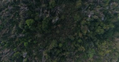 Tayland dağ üzerinde uçan havadan görünümü