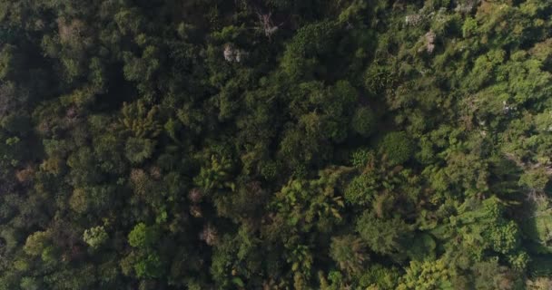 Luchtfoto Vliegen Berg Thailand — Stockvideo