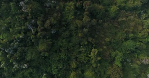 Luchtfoto Vliegen Berg Thailand — Stockvideo