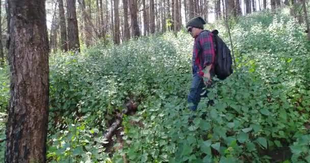 Junger Mann Beim Wandern Tropischen Dschungel Mit Rucksack Wanderer Mit — Stockvideo