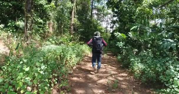 Young Man Hiking Tropical Jungle Backpack Male Hiker Rucksack Walking — Stock Video