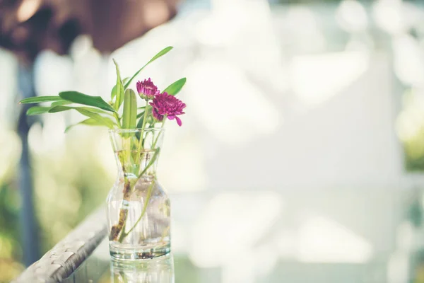 テーブルの上に置かれた花瓶に紫色の花 — ストック写真
