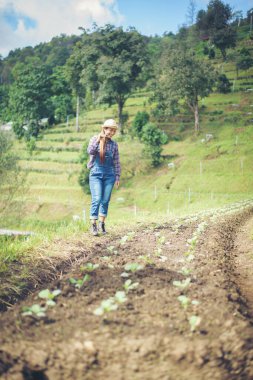 Çiftçi kadın ağacı Bahçede
