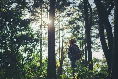 Dürbünlü bir kadın ormanda yürüyor. 