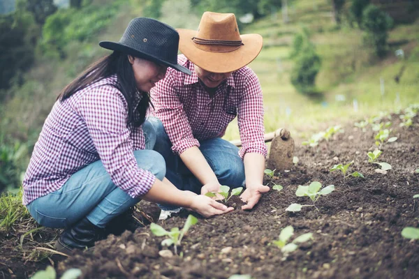 Boer Planten Boom Tuin — Stockfoto