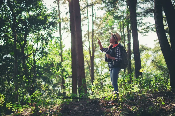 Woman Binoculars Walking Forest — Stock Photo, Image