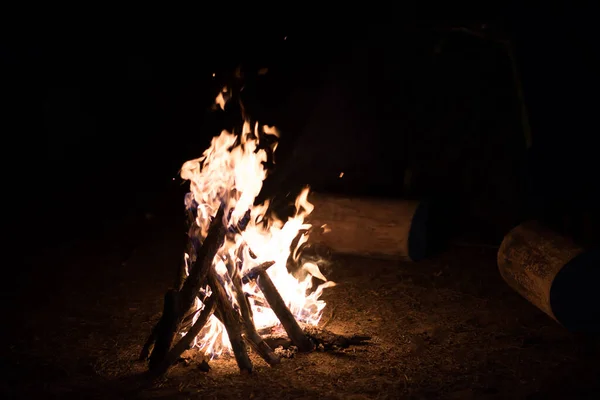 Camp Fire Night — Stock Photo, Image
