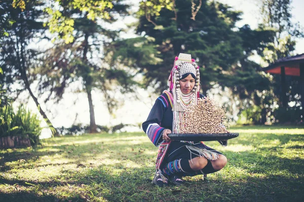 Akha Pomocí Vinného Koše Oddělující Arabskou Kávu Skořápky Akha Severu — Stock fotografie