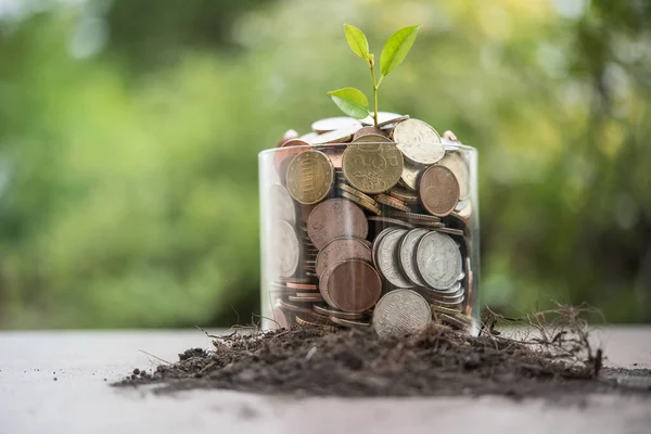 Geld Sparen Für Investitionskonzept Münze Glas — Stockfoto