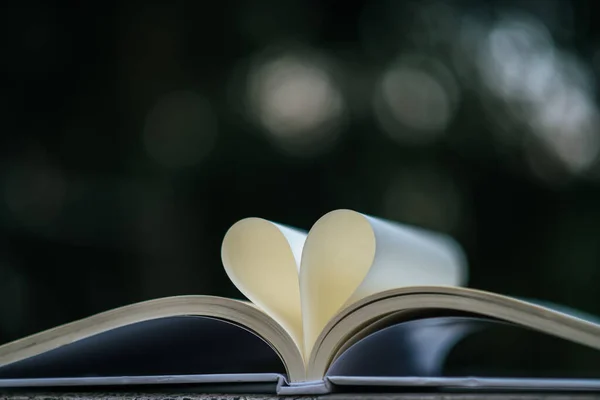 Open Book Shape Heart — Stock Photo, Image
