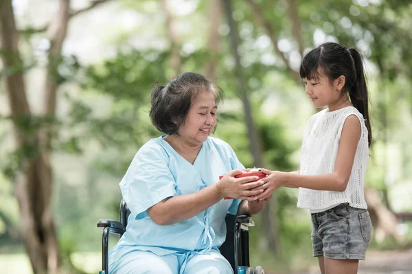 おばあちゃんが車椅子に座って — ストック写真