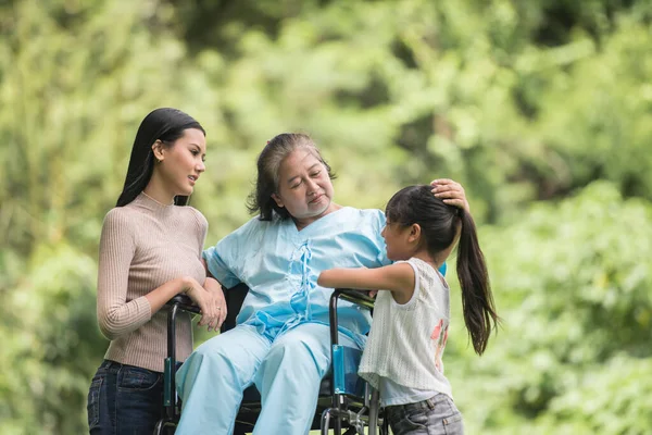 公園で娘と孫と車椅子で幸せな祖母幸せな時間 — ストック写真