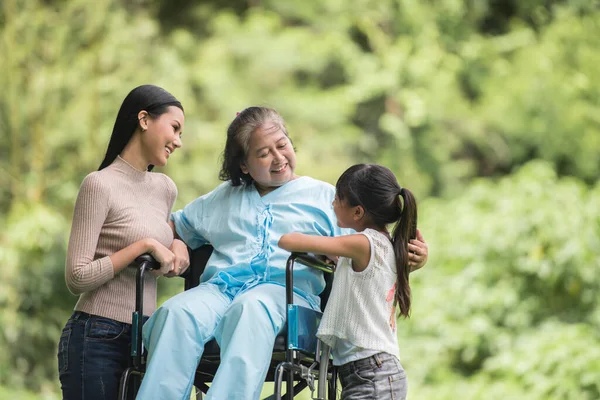 Feliz Abuela Silla Ruedas Con Hija Nieto Parque Vida Feliz —  Fotos de Stock