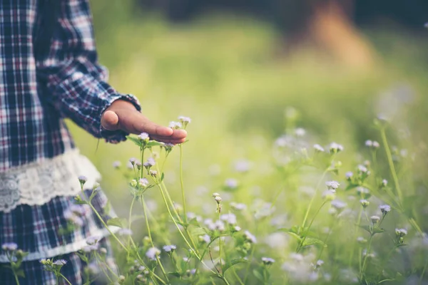 Gros Plan Main Petite Fille Touchant Fleur Sauvage Prairie — Photo