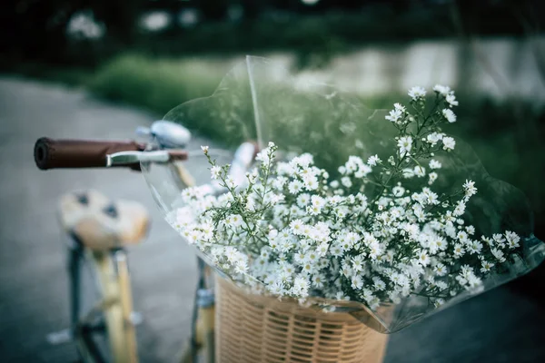 Vintage Ποδήλατο Καλάθι Και Λουλούδια Στο Par — Φωτογραφία Αρχείου