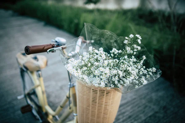 Bicicleta Vintage Com Cesta Flores Par — Fotografia de Stock