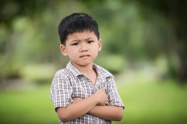 腕を組んで立っているかわいい好奇心旺盛な男の子の肖像画が折り畳まれ ぼやけた自然背景を持つカメラを見て — ストック写真