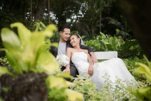 新娘和新郎坐在树枝上 后面是绿色的公园 — 图库照片