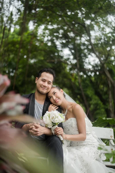 Braut Und Bräutigam Sitzen Auf Einem Ast Hintergrund Der Grüne — Stockfoto