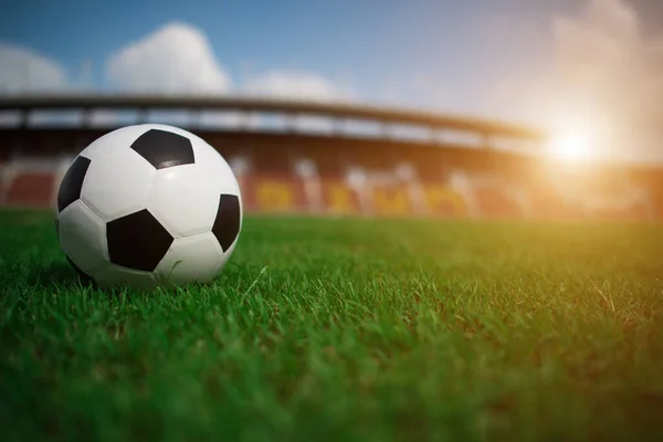 soccer ball on grass with stadium background