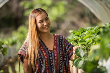 Güzel çiftçi kadın çilek tarlasını kontrol ediyor.