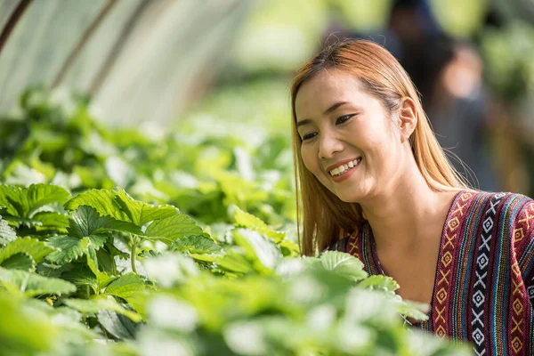 Mooie Boer Vrouw Controleren Aardbei Boerderij — Stockfoto