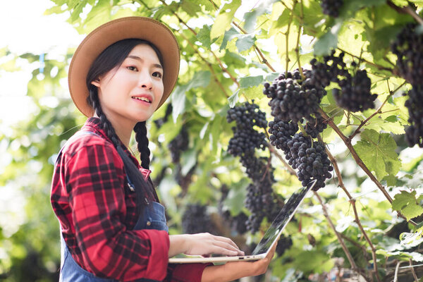 Happy young women gardener holding branches of ripe blue grape