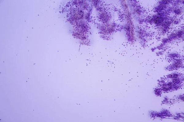 紫色の花の装飾の背景 — ストック写真